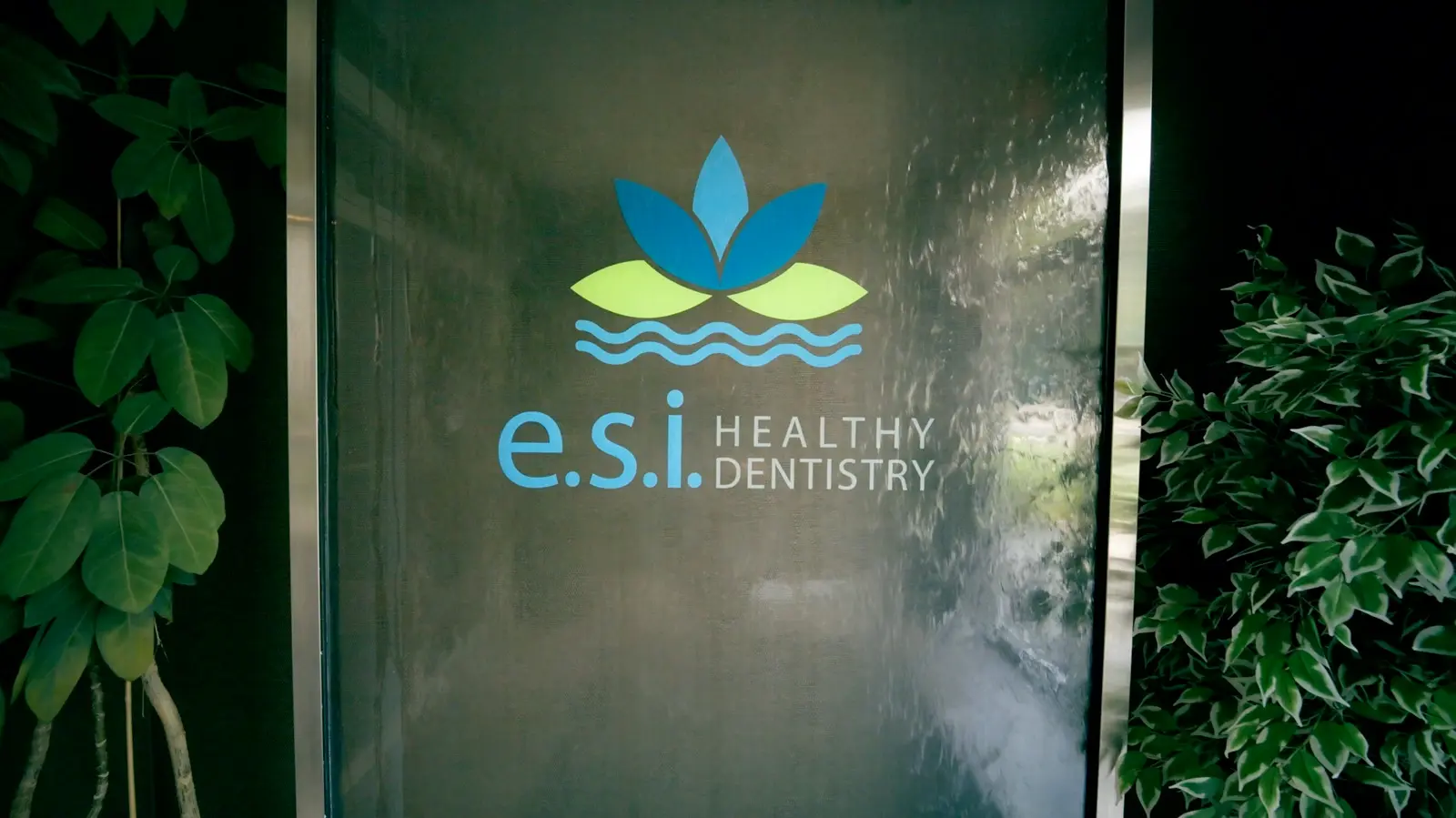 Meet Dr. K, ESI Healthy Dentistry